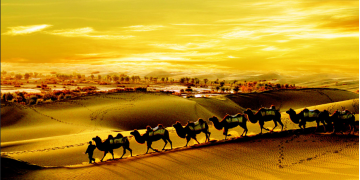 Camel Bells Along the Silk Road (Ruan Music)