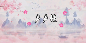 2023央视元宵晚会：《声声慢》