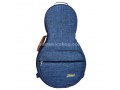 Thickened Canvas Soft Yueqin Bag