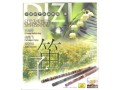 Classical Dizi Music 1CD