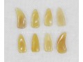 Professional Guzheng Nails, Ox Horn