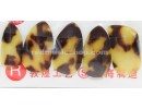 Pipa Nails, for Beginner and Practice, E0365