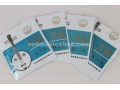 Da(Large) Ruan Strings, 1 Set, #1 - #4
