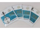 Da(Large) Ruan Strings, 1 Set, #1 - #4