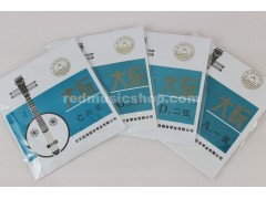 Da(Large) Ruan Strings, 1 Set, #1 - #4