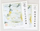Dunhuang Erhu Strings, Type Dunhuang, E0492
