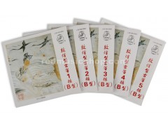 Dunhuang Nylon Guzheng Strings, Type B, 1 Piece, #1 - #21 Selectable