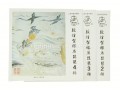 Dunhuang Silver Pipa Strings