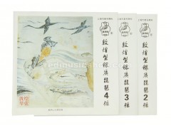 Dunhuang Silver Pipa Strings