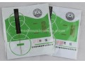 Xinghai Ping Erhu(Ping Opera Alto-Fiddle) Strings