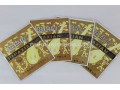 Xinghai Child Size Pipa Strings, 1 Set, #1 - #4