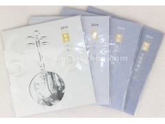 专业小阮弦，套弦，#1 - #4, E0182