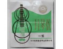 Xinghai Yueqin String #1