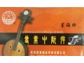 Professional Zhong(Medium) Ruan Strings, 1 Set, #1 - #4