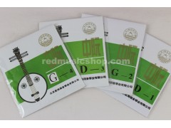 Zhong(Medium) Ruan Strings, 1 Set, #1 - #4