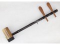 Chinese Jinghu(Beijing Opera Fiddle), with Case