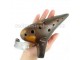 Classic FengYa 12 Hole Ocarina Ceramic Flute, for Professional, 7 Keys Available