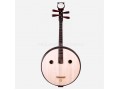Quality Hardwood Da(Large) Ruan, Chinese Da Ruan lute