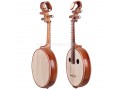 Exquisite Concert Grade Rosewood Zhong (Medium) Ruan, Chinese Zhong Ruan Lute