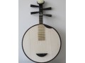 Professional Ebony Yueqin lute, Moon Guitar